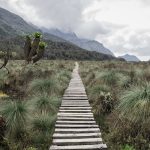 The_Rwenzori_Mountains_