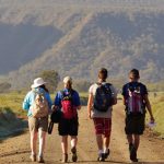 students-walking-safari