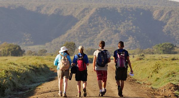 students-walking-safari